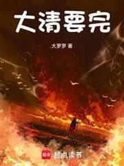 大清已经完了什么意思