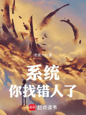 你给我找个系统