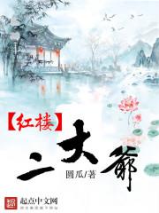 红楼政二老爷