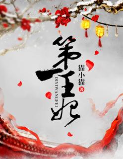 第一王妃免费阅读