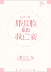 那张什么的脸作文500字