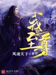 我是至尊TXT