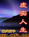 虚实的人生作文