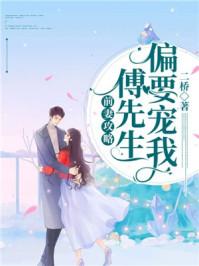 前妻攻略剧情介绍