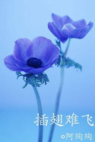 他追他逃他插翅难飞