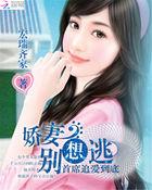 首席追妻套路深