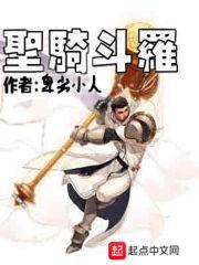 斗罗之圣骑斗罗