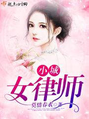 上海小城律师事务所