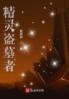 精灵盗墓者起点