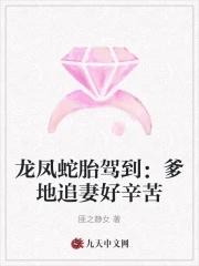 龙凤双宝爹地别慌全文免费