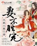 妻不如妾百度百科