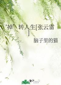 张云雷转扇子合集视频