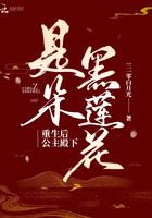 重生后公主殿下是朵黑莲花在线读