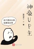 神豪网文