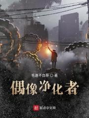 偶像进化石