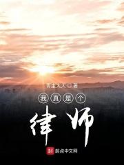 我真是个律师 TXT
