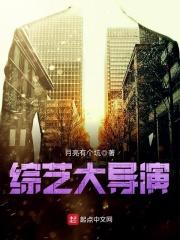 综艺大导演笔趣阁