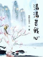 清清入我心结局