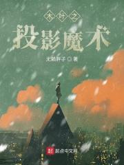 木叶之投影魔术TXT