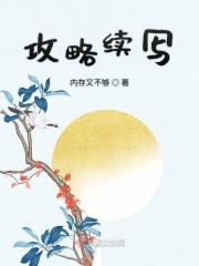 攻略pvg