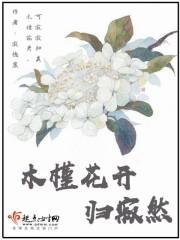 木槿花开上一句是什么